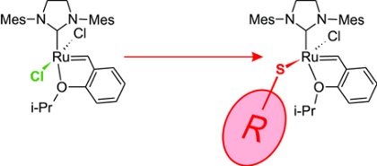Figure 3. Cis-selective ruthenium-based catalysts containing a
sterically demanding thiolate ligand, S-R